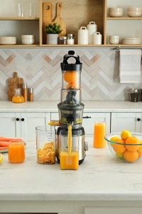  Inox Slow Juicer Katı Meyve Sıkacağı